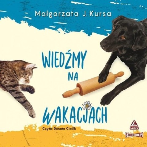 Wiedźmy na wakacjach. Audiobook