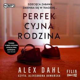 Perfekcyjna rodzina audiobook