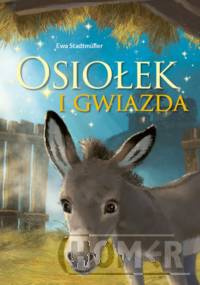 Osiołek i gwiazda