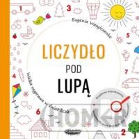 Liczydło pod lupą