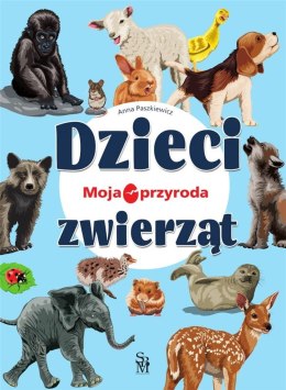 Moja przyroda. Dzieci zwierząt