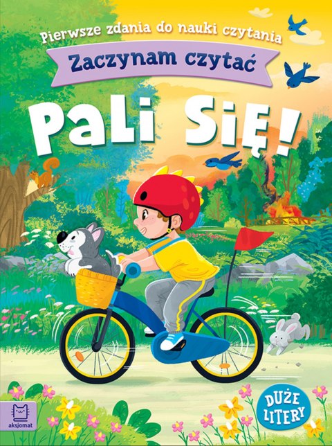 Zaczynam czytać Duże litery Pierwsze zdania do nauki czytania. Pali się!