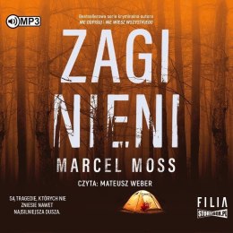 Zaginieni audiobook