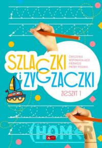 Szlaczki i zygzaczki Zeszyt 1