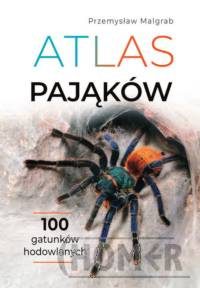 Atlas pająków