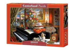 Puzzle 2000 Ensemble CASTOR