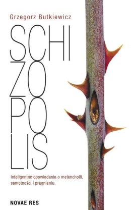 Schizopolis