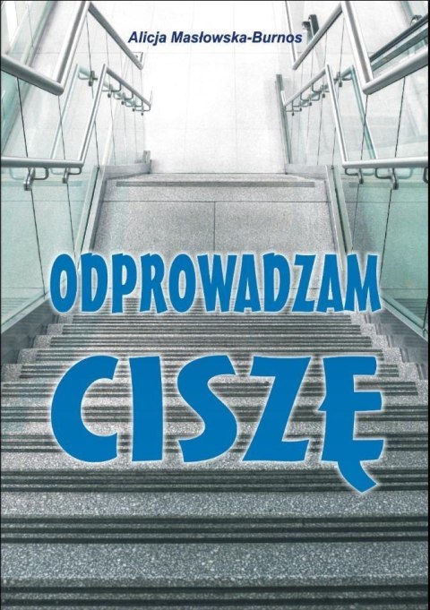 Odprowadzam ciszę