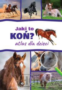 Jaki to koń?