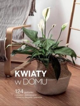 Kwiaty w domu