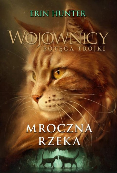 Wojownicy T.14 Mroczna rzeka