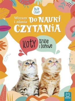 Koty dzikie i domowe Wyrazy i zdania do nauki czytania. Tajemnice przyrody.