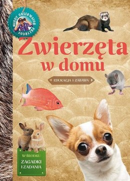 Młody Obserwator Przyrody - Zwierzęta w domu