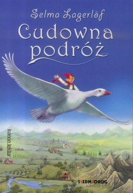 Cudowna podróż BR w.2018