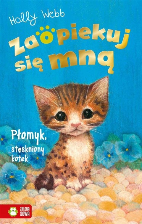 Zaopiekuj się mną. Płomyk, stęskniony kotek