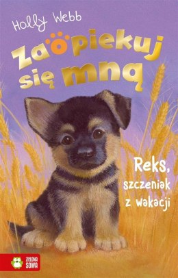 Zaopiekuj się mną. Reks, szczeniak z wakacji