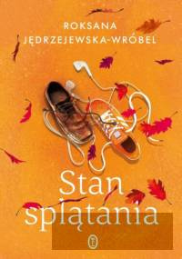 Stan splątania