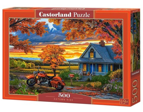 Puzzle 500 Autumn Ride