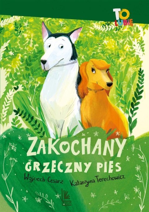 Zakochany grzeczny pies