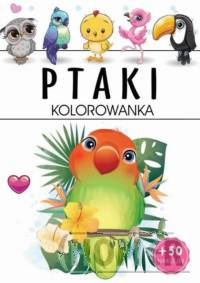 Ptaki Kolorowanka