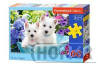 Puzzle 60 Westie Puppies pieski