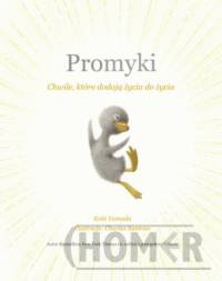 Promyki