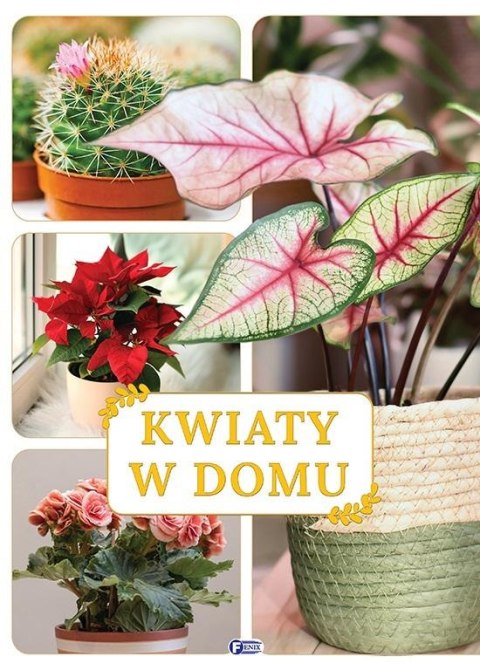 Kwiaty w domu