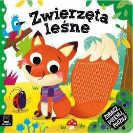 Zobacz, dotknij, poczuj! Zwierzęta leśne