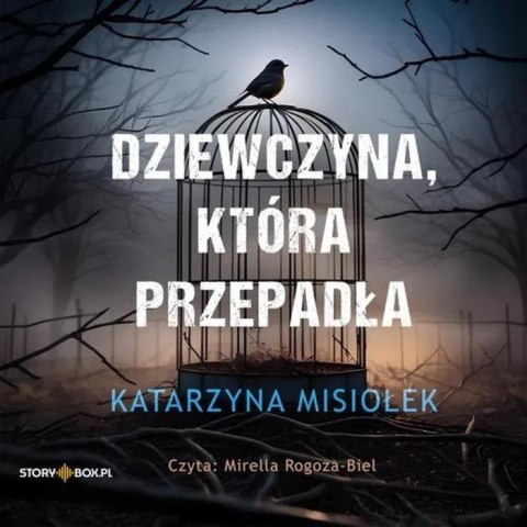 Dziewczyna, która przepadła audiobook