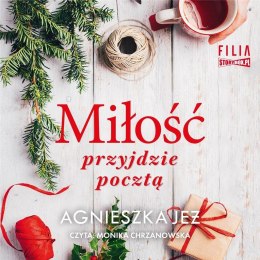 Miłość przyjdzie pocztą audiobook