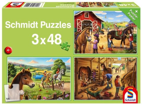 Puzzle 3x48 Konie G3