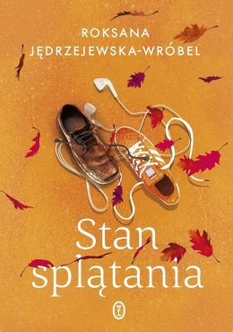 Stan splątania