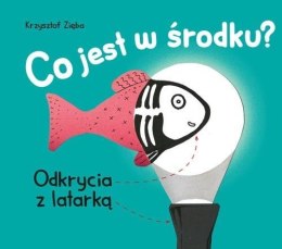 Co jest w środku? Odkrycia z latarką