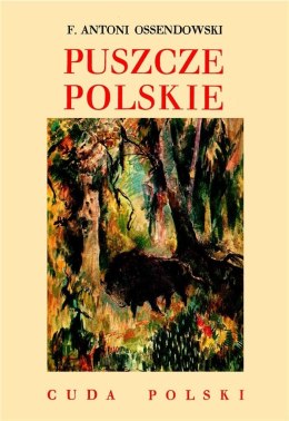 Cuda Polski. Puszcze polskie