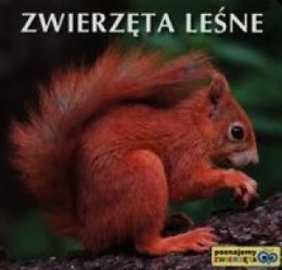 Poznajemy zwierzęta - Zwierzęta leśne