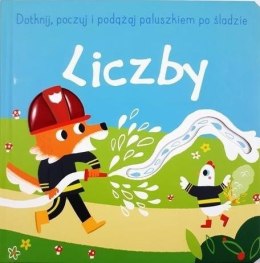 Dotknij, poczuj i podążaj po śladzie. Liczby