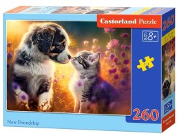 Puzzle 260 New Friendship CASTOR