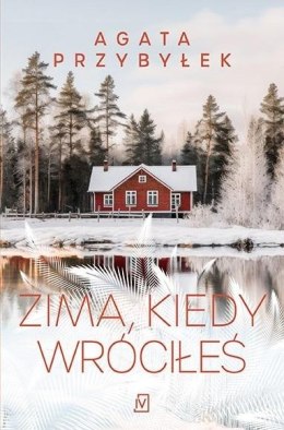 Zima, kiedy wróciłeś