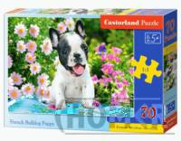 Puzzle 70 French Bulldog Puppy piesek