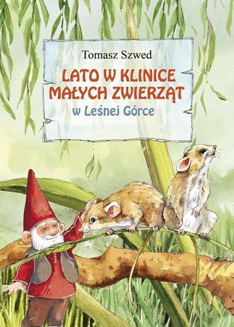 Lato w klinice małych zwierząt w Leśnej Górce