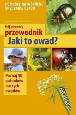 Mój pierwszy przewodnik. Jaki to owad?