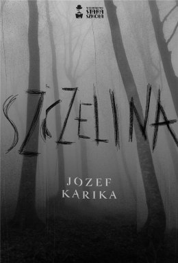 Szczelina