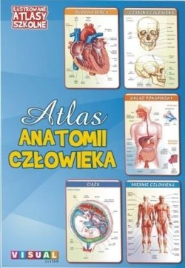 Ilustrowany atlas szkolny.Atlas anatomii człowieka