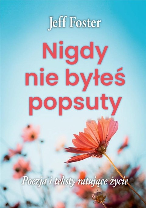 Nigdy nie byłeś popsuty