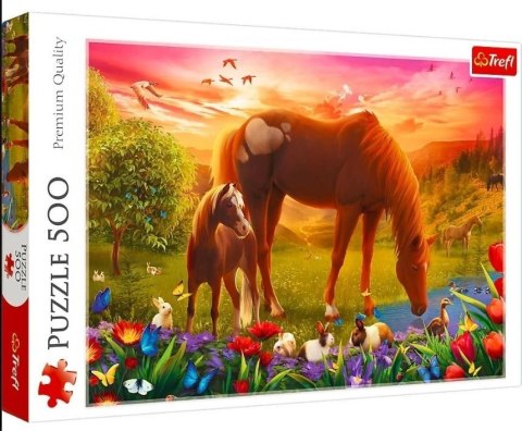 Puzzle 500 Konie na łące TREFL