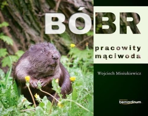 Bóbr - pracowity mąciwoda