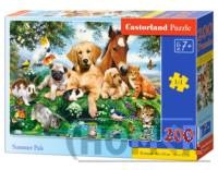 Puzzle 200 Summer Pals