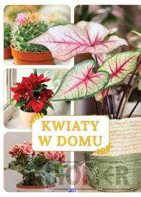 Kwiaty w domu
