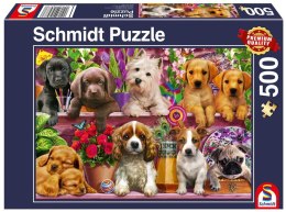 Puzzle PQ 500 Psy na półce G3