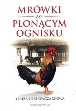 Mrówki w płonącym ognisku